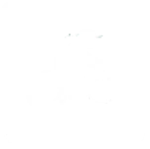 Icono bici