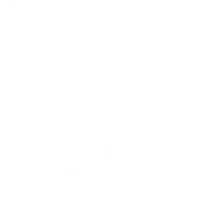Icono totem