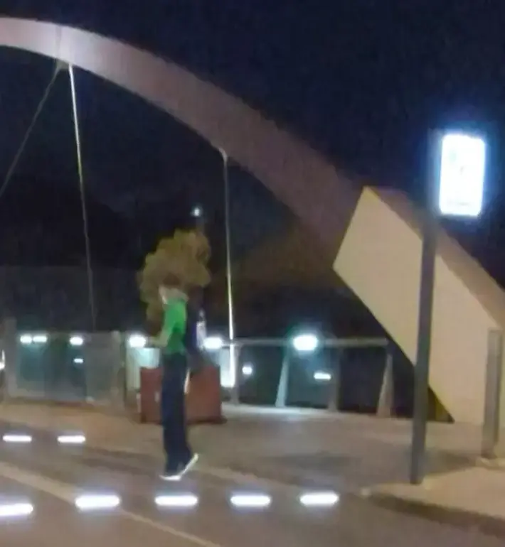 pasos de peatones inteligentes